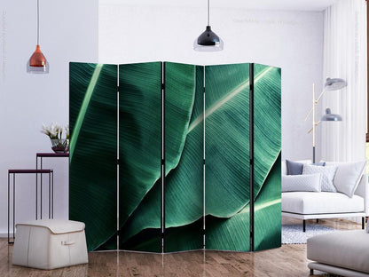 Decorative partition-Room Divider - Banana Leaf II-Folding Screen Wall Panel by ArtfulPrivacy