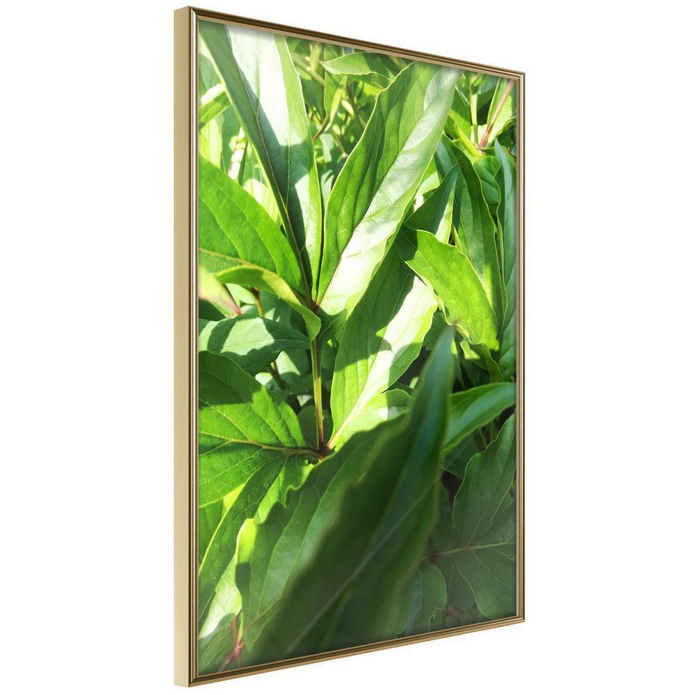 Botanical Wall Art - Somewhere in the Garden-artwork for wall with acrylic glass protection