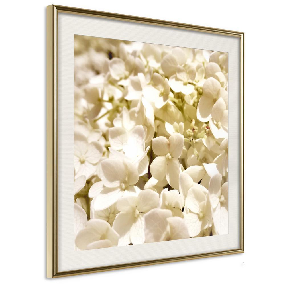 Botanical Wall Art - Soothing Flowers-artwork for wall with acrylic glass protection