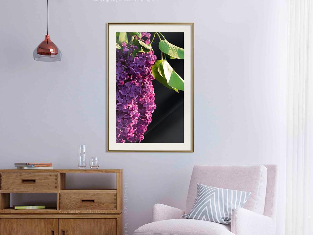 Botanical Wall Art - Violet May-artwork for wall with acrylic glass protection