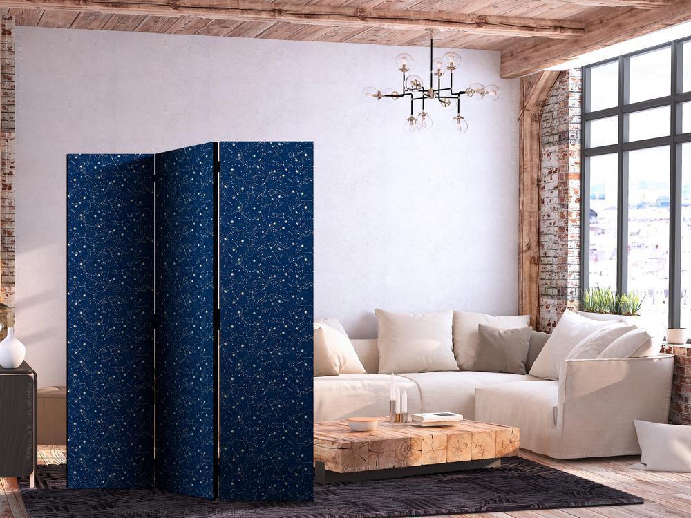 Room Divider - Cosmic Inspirations - Pattern with Stars and Constellations on a Dark Background