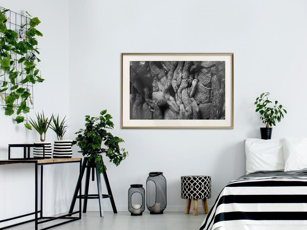 Framed Art - Strong Roots-artwork for wall with acrylic glass protection