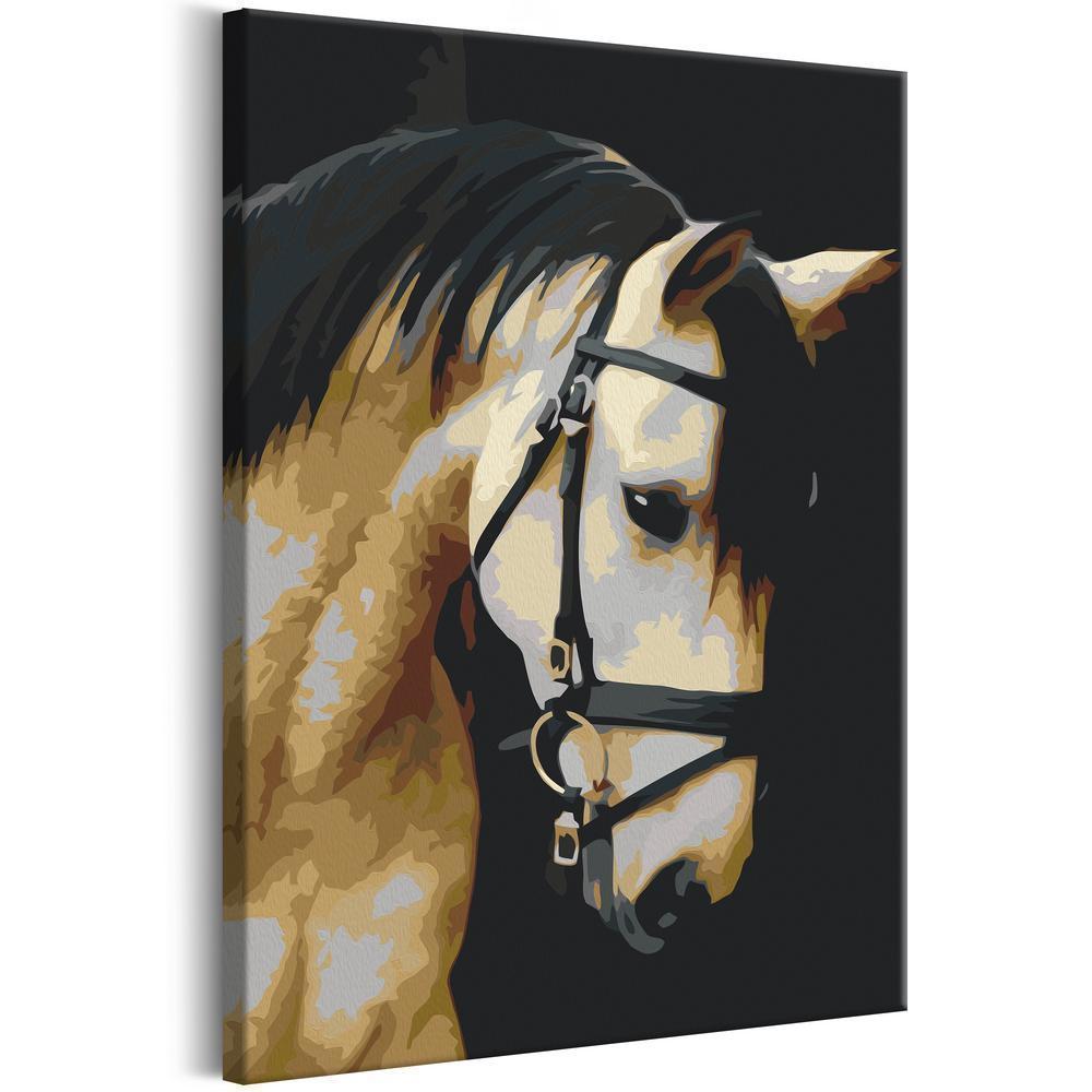 Start learning Painting - Paint By Numbers Kit - Horse Portrait - new hobby