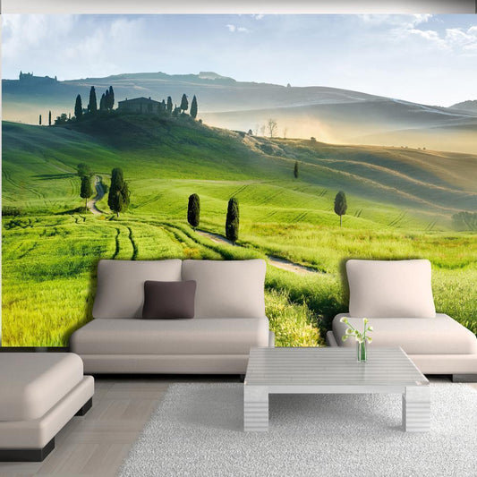 Wall Mural - Morning in the countryside-Wall Murals-ArtfulPrivacy