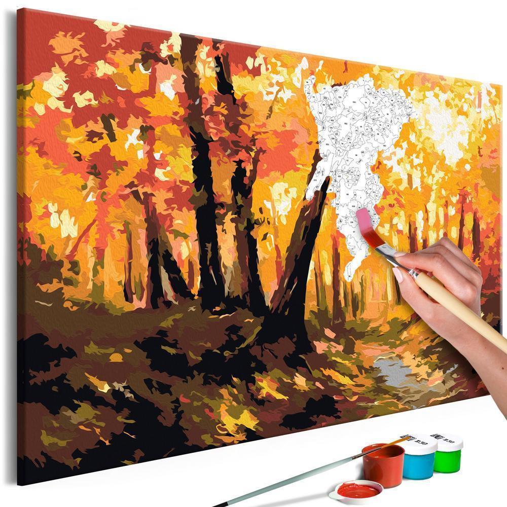 Start learning Painting - Paint By Numbers Kit - Forest Track - new hobby