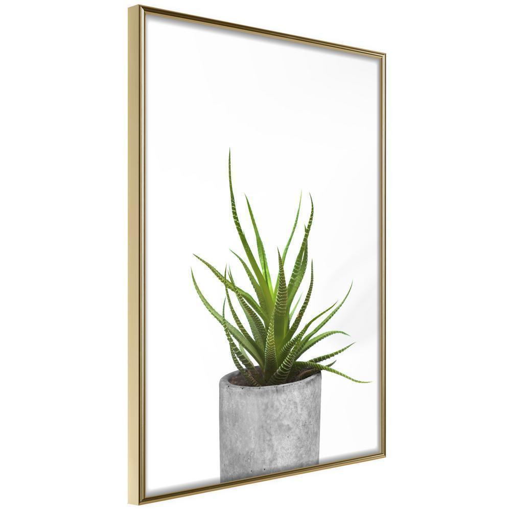 Botanical Wall Art - Piece of Nature I-artwork for wall with acrylic glass protection