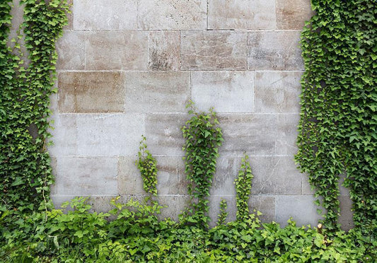 Wall Mural - The Forgotten Garden-Wall Murals-ArtfulPrivacy