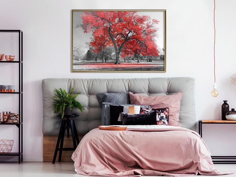 Autumn Framed Poster - Red Tree-artwork for wall with acrylic glass protection