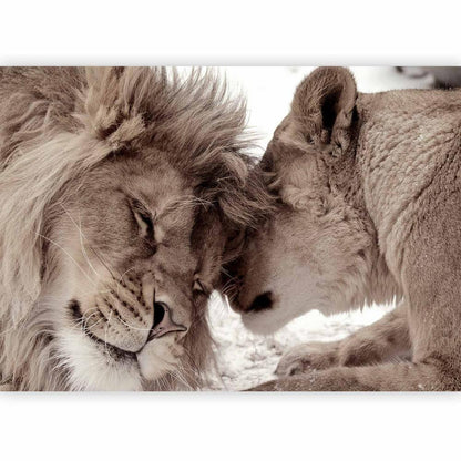 Wall Mural - Lion Tenderness (Sepia)