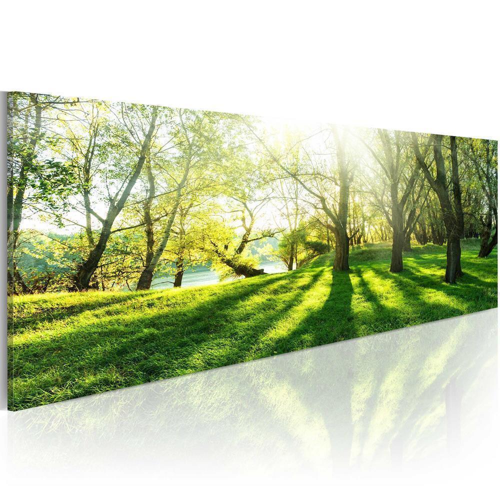 Canvas Print - Rays of Sunshine-ArtfulPrivacy-Wall Art Collection