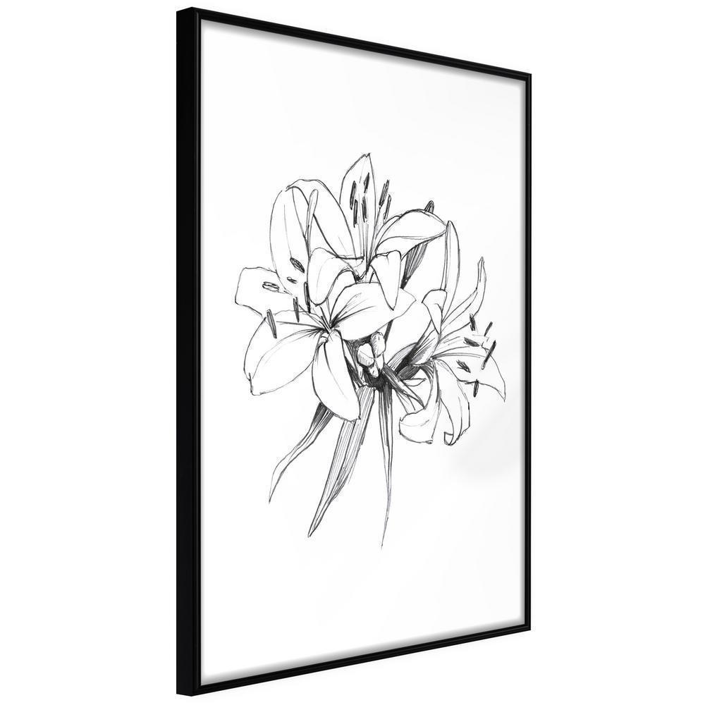 Black and White Framed Poster - Sketch of Lillies-artwork for wall with acrylic glass protection