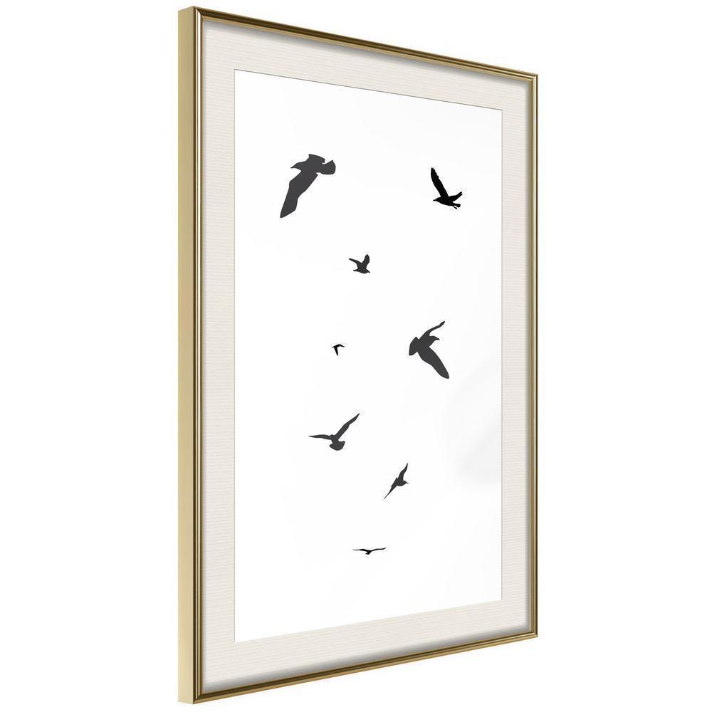 Black and White Framed Poster - Birds-artwork for wall with acrylic glass protection
