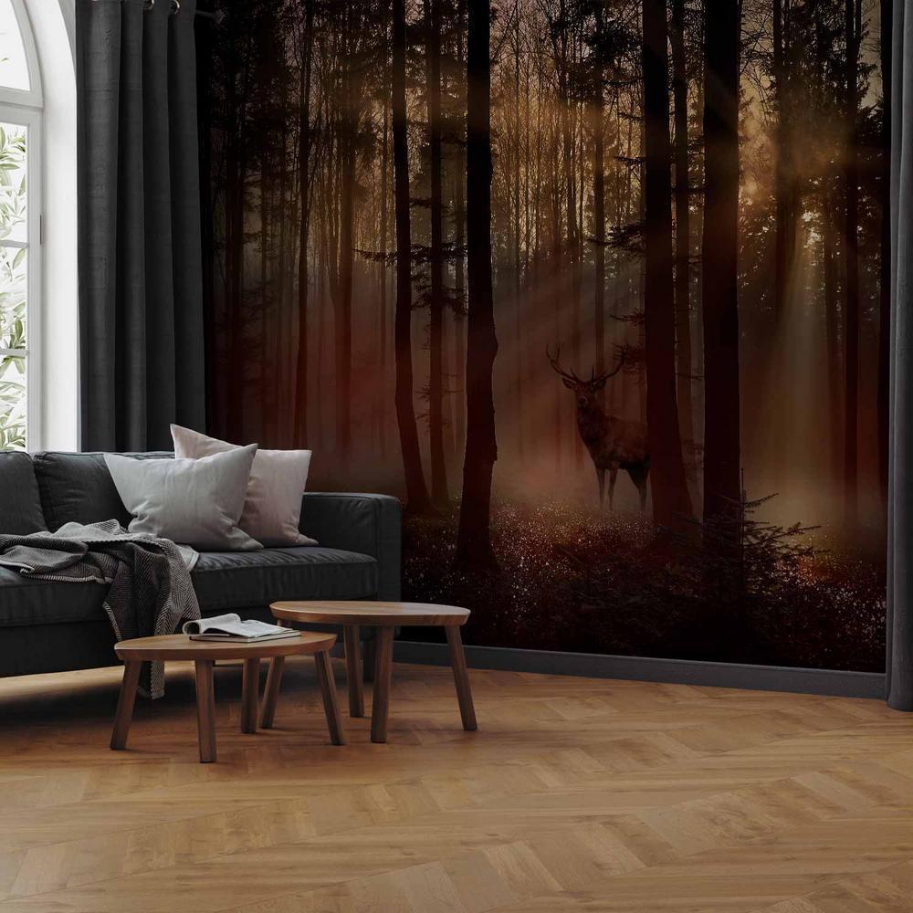 Wall Mural - Mystical Forest - First Variant