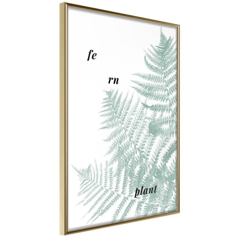 Botanical Wall Art - Pale Green Fern-artwork for wall with acrylic glass protection