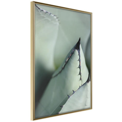 Botanical Wall Art - Young Leaf of Agave-artwork for wall with acrylic glass protection