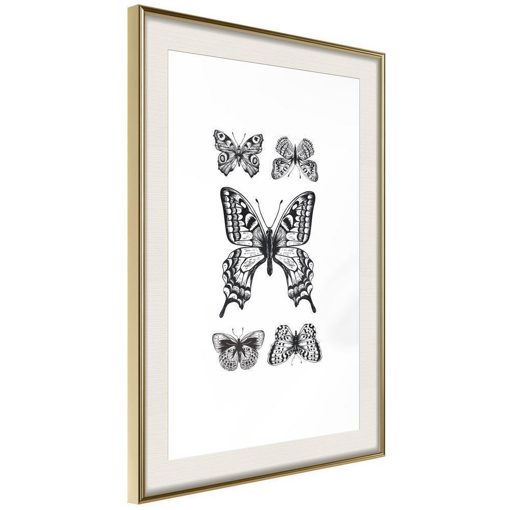 Black and White Framed Poster - Butterfly Collection IV-artwork for wall with acrylic glass protection