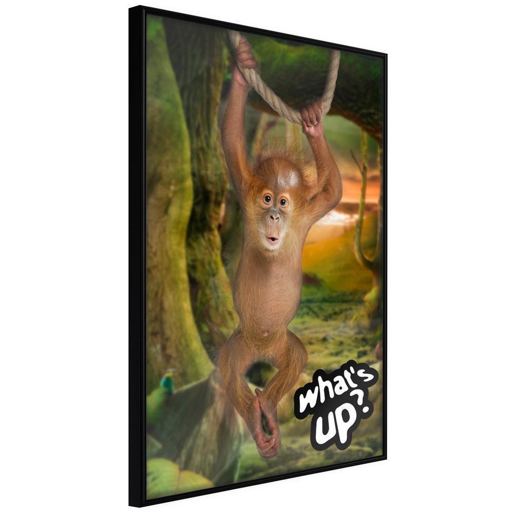 Frame Wall Art - Life in the Jungle-artwork for wall with acrylic glass protection