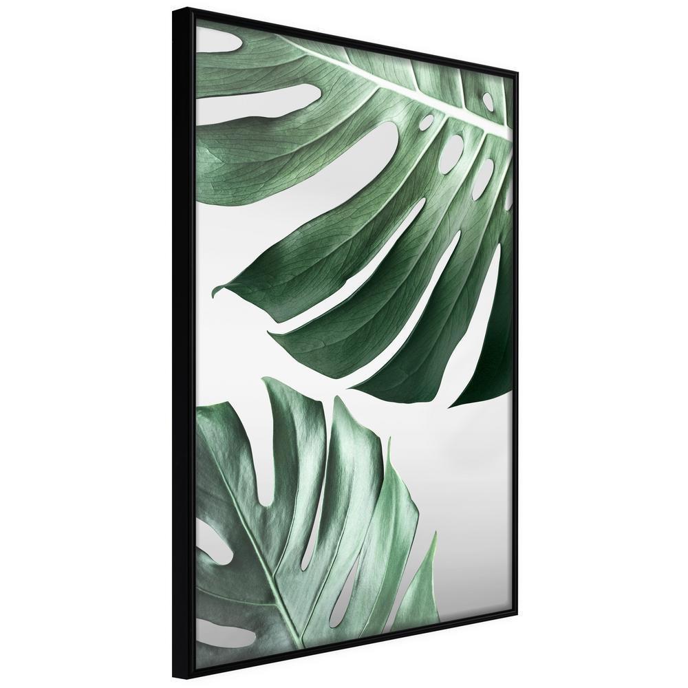 Botanical Wall Art - Leaves Like Swiss Cheese-artwork for wall with acrylic glass protection