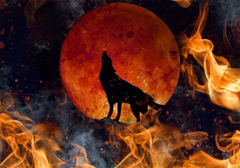 Wall Mural - Wild nature - wolf on a background of a red moon in flames of fire-Wall Murals-ArtfulPrivacy