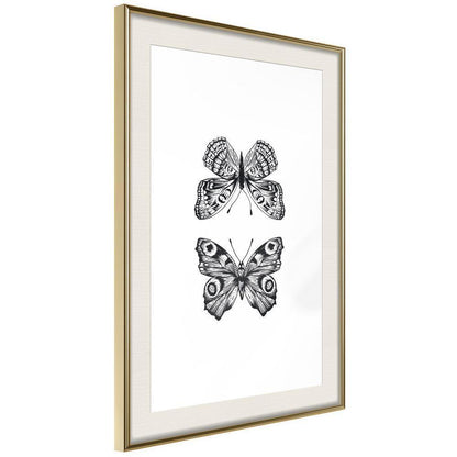 Black and White Framed Poster - Butterfly Collection I-artwork for wall with acrylic glass protection