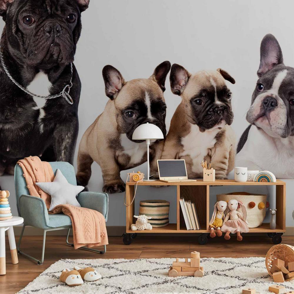 Wall Mural - French Dogs