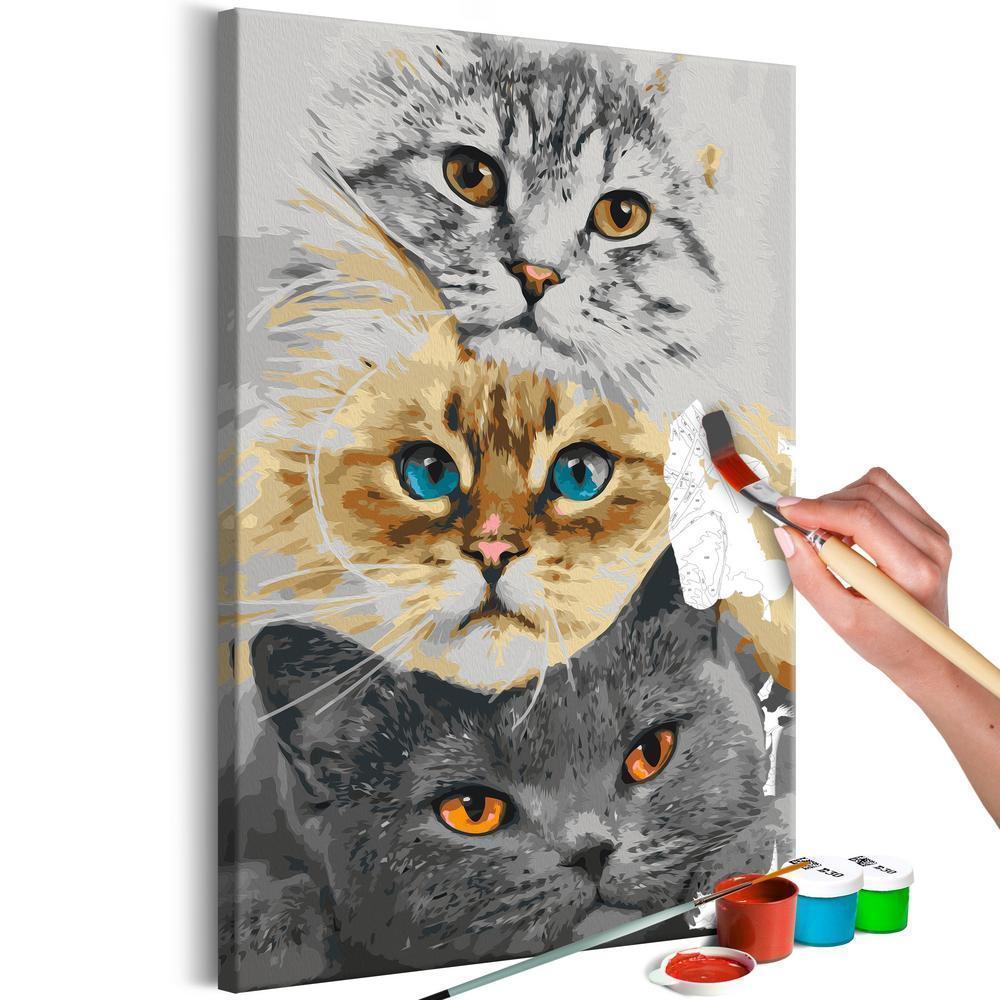 Start learning Painting - Paint By Numbers Kit - Cat's Trio - new hobby