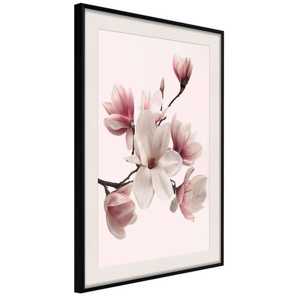 Botanical Wall Art - Blooming Magnolias I-artwork for wall with acrylic glass protection