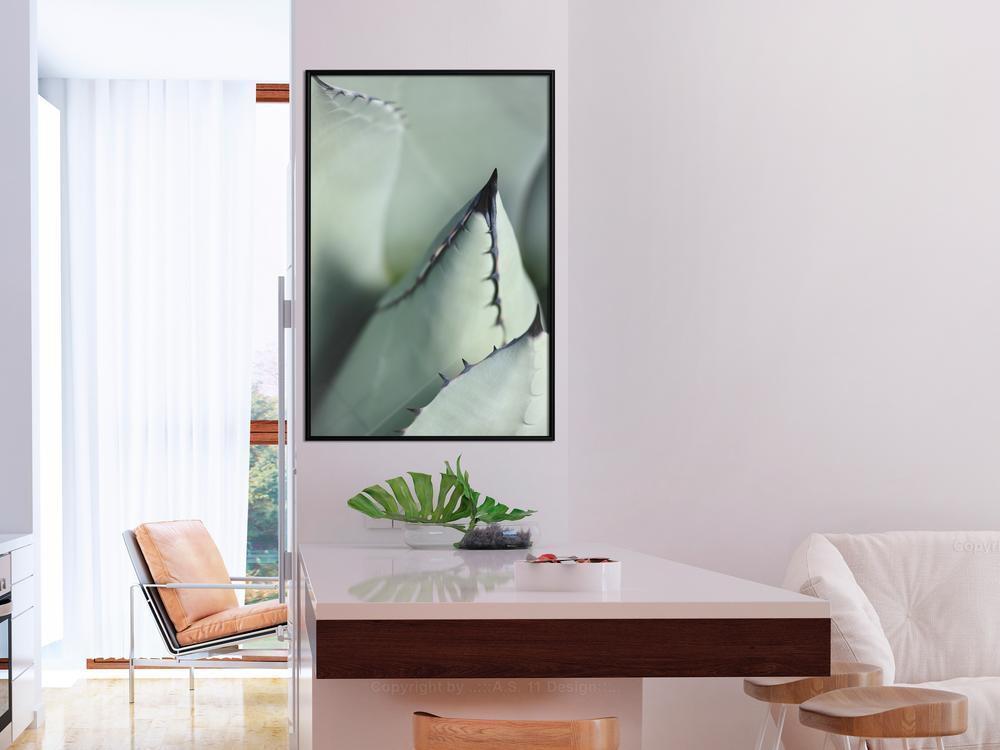 Botanical Wall Art - Young Leaf of Agave-artwork for wall with acrylic glass protection