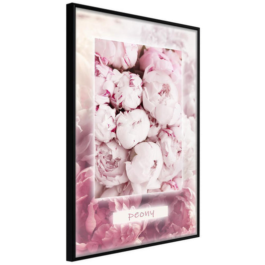 Botanical Wall Art - Scent of Peonies-artwork for wall with acrylic glass protection