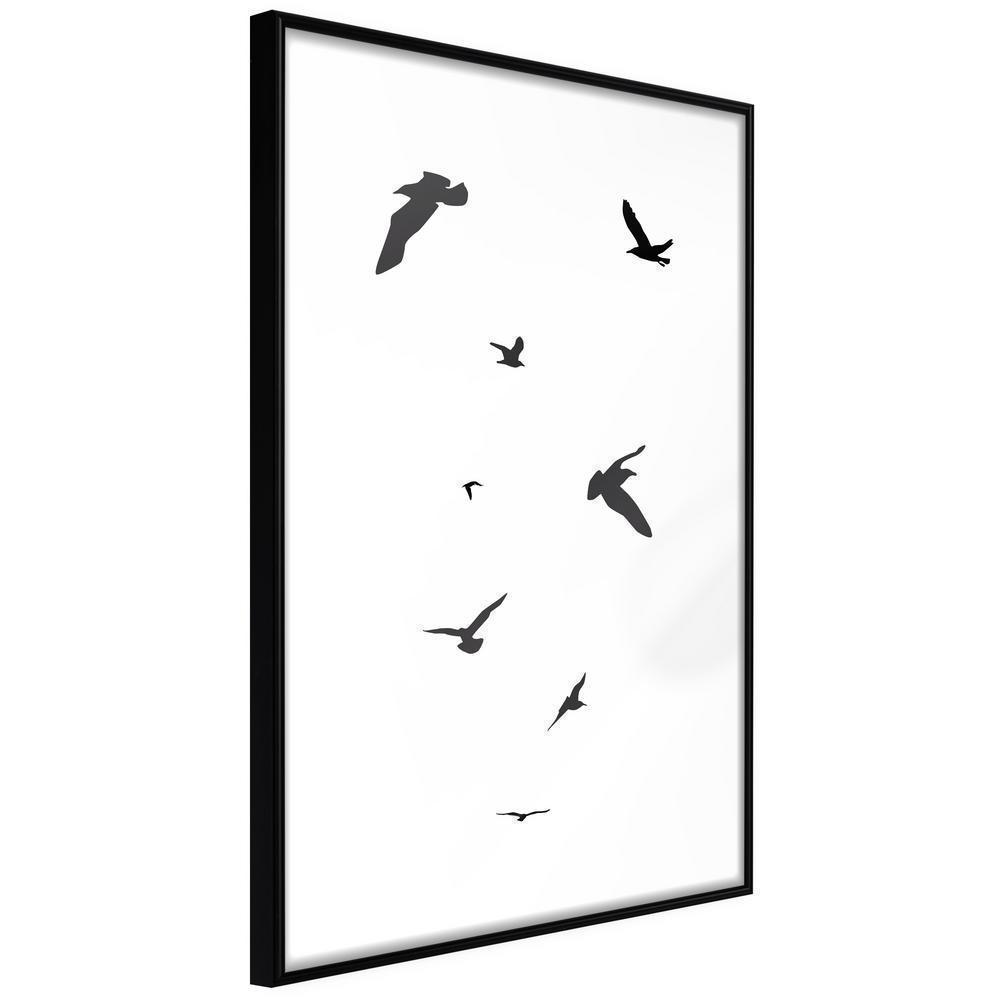 Black and White Framed Poster - Birds-artwork for wall with acrylic glass protection