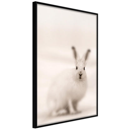 Frame Wall Art - Curious Rabbit-artwork for wall with acrylic glass protection