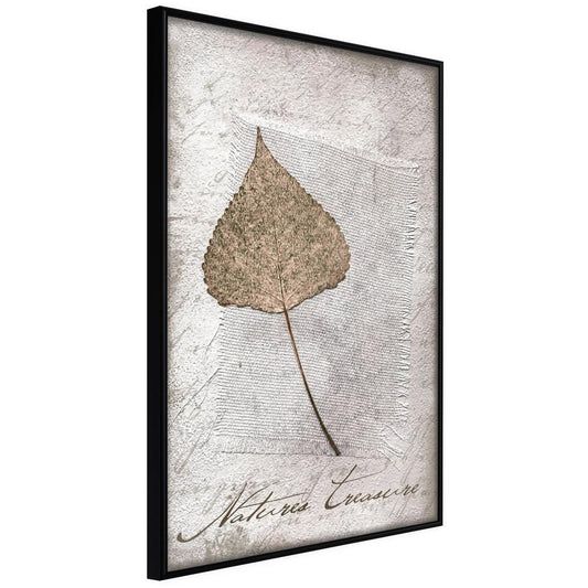Botanical Wall Art - Dried Leaf-artwork for wall with acrylic glass protection