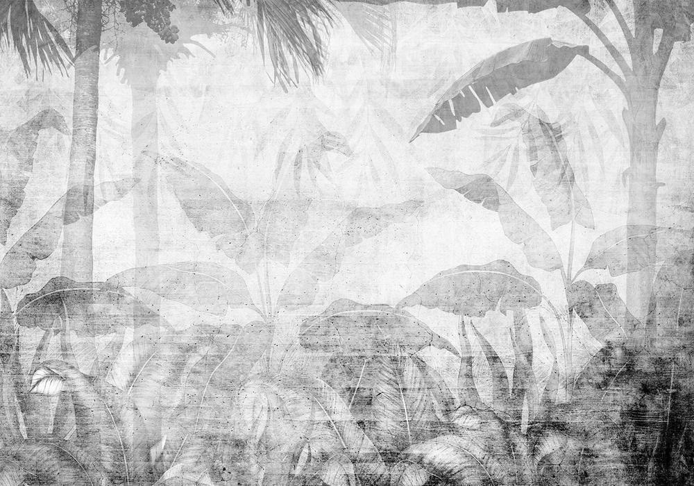 Wall Mural - Vanishing jungle - landscape of exotic trees and leaves in grey tones-Wall Murals-ArtfulPrivacy