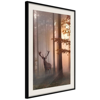 Autumn Framed Poster - Forest Seclusion-artwork for wall with acrylic glass protection