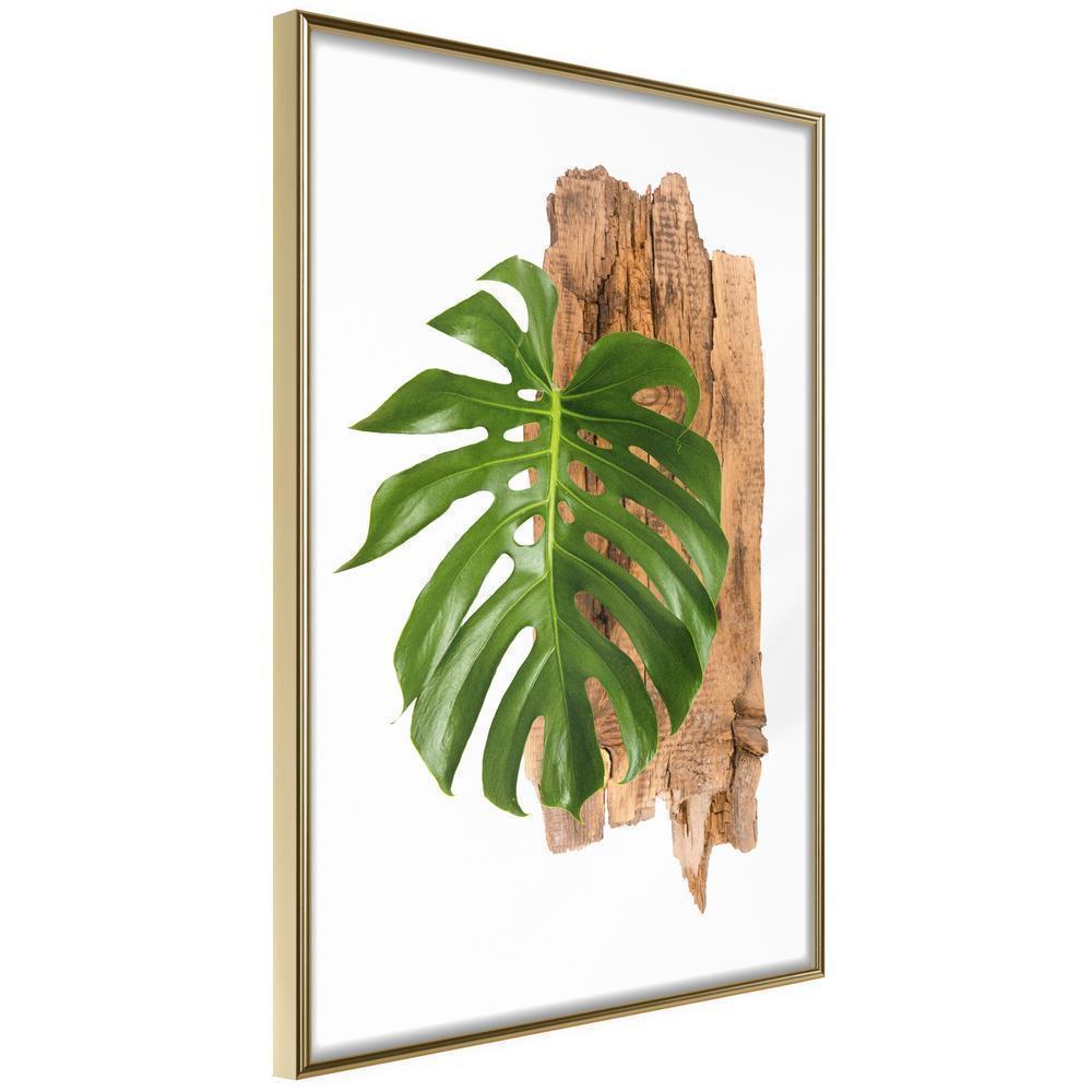 Botanical Wall Art - Leafy Etude-artwork for wall with acrylic glass protection