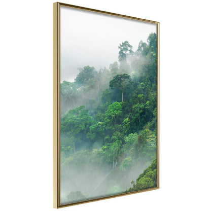 Framed Art - Green Lungs of the Earth II-artwork for wall with acrylic glass protection