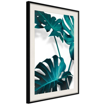 Botanical Wall Art - Turquoise Monstera II-artwork for wall with acrylic glass protection