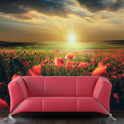 Wall Mural - Morning on the poppy meadow-Wall Murals-ArtfulPrivacy