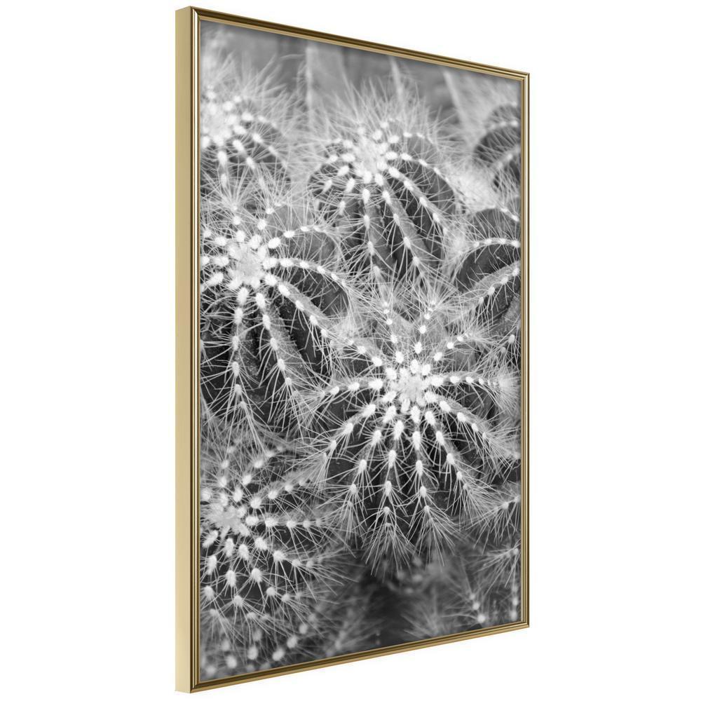 Botanical Wall Art - Do Not Touch-artwork for wall with acrylic glass protection