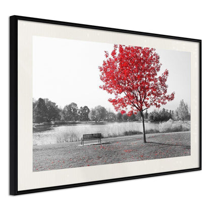 Autumn Framed Poster - Autumn Colours I-artwork for wall with acrylic glass protection