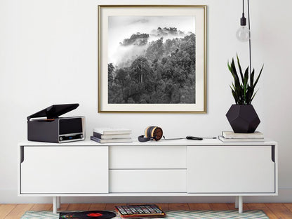 Framed Art - Foggy Forest-artwork for wall with acrylic glass protection