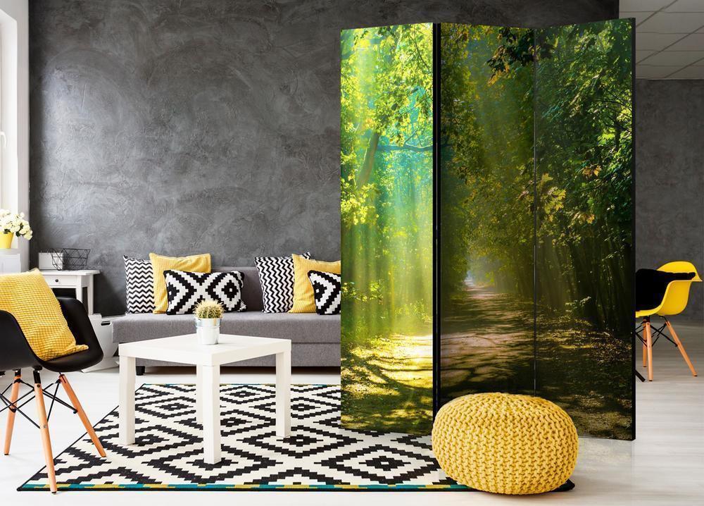 Decorative partition-Room Divider - Road in Sunlight-Folding Screen Wall Panel by ArtfulPrivacy