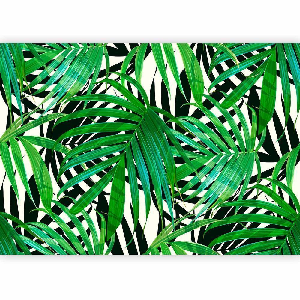 Papier peint - Feuilles tropicales