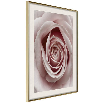 Botanical Wall Art - Rosebud-artwork for wall with acrylic glass protection