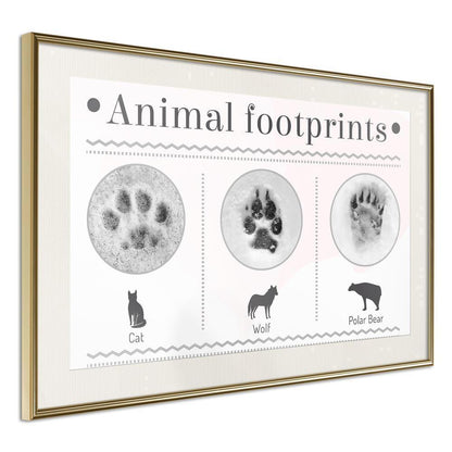 Frame Wall Art - How to Recognize an Animal-artwork for wall with acrylic glass protection