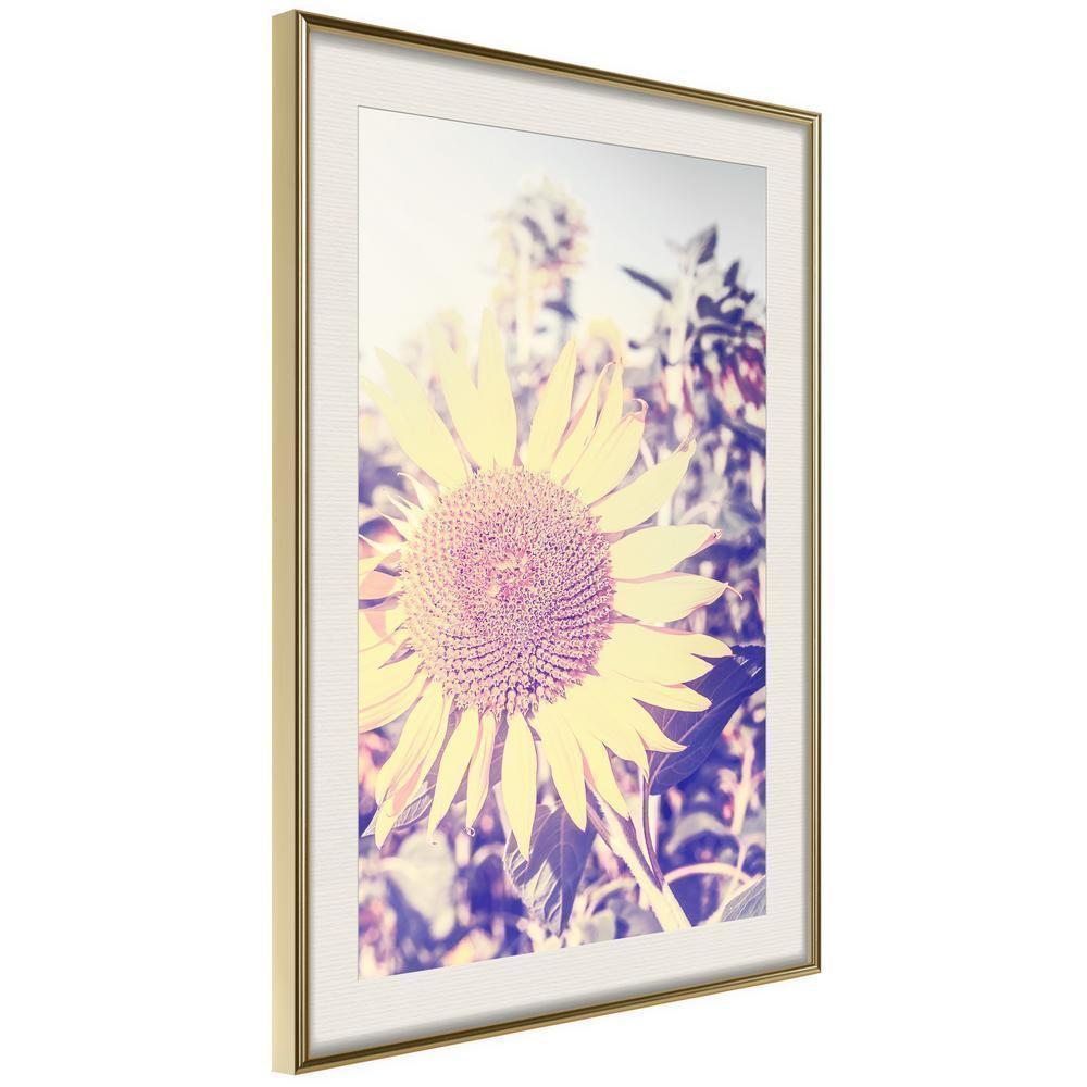 Botanical Wall Art - Facing the Sun-artwork for wall with acrylic glass protection