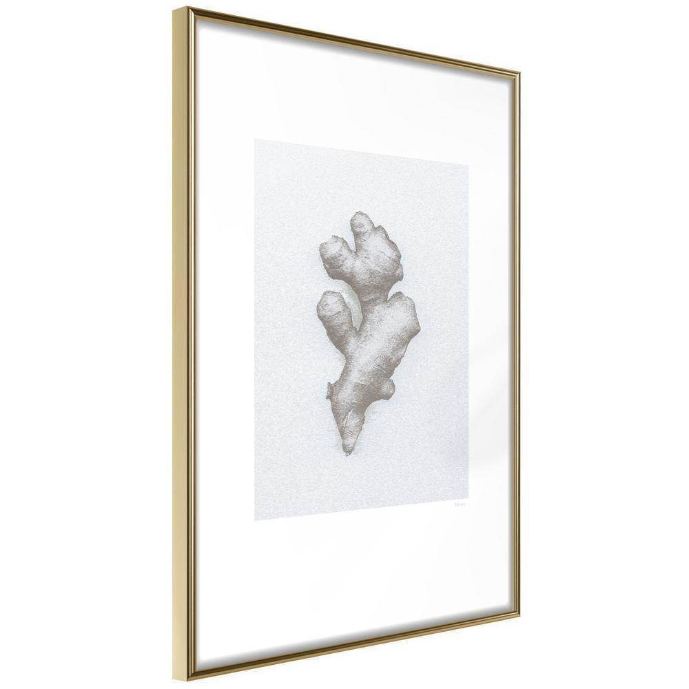 Black and White Framed Poster - Ginger Rhizome-artwork for wall with acrylic glass protection