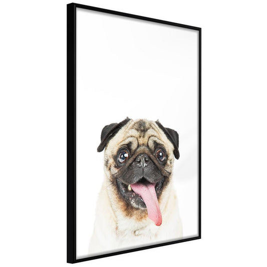 Nursery Room Wall Frame - Funny Pug-artwork for wall with acrylic glass protection