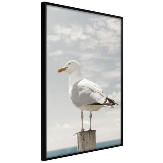 Seascape Framed Poster - Curious Seagull-artwork for wall with acrylic glass protection