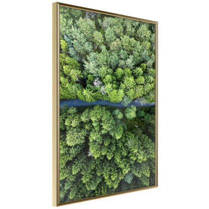Framed Art - Forest from a Bird's Eye View-artwork for wall with acrylic glass protection